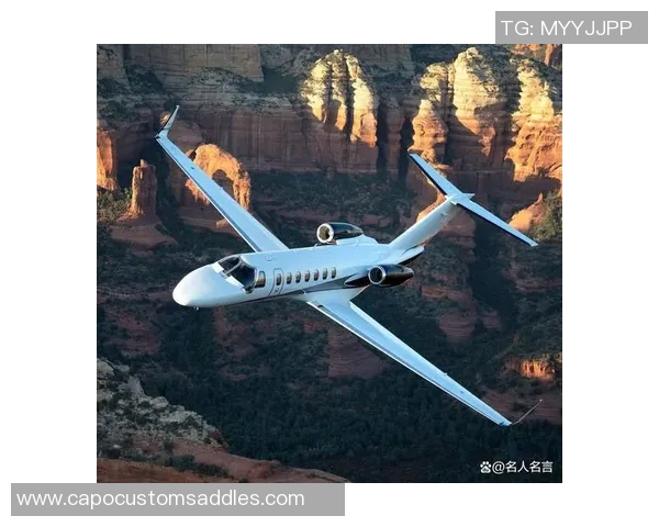 足球明星的私人飞机揭秘奢华生活与飞行背后的故事