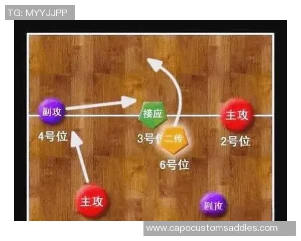 聚焦排球：成都排球队的战术话题