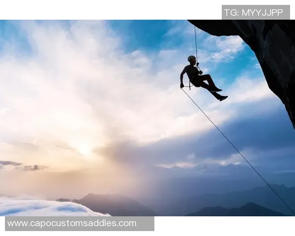 极限运动耐力排行榜:杭州极限运动队位居第1名