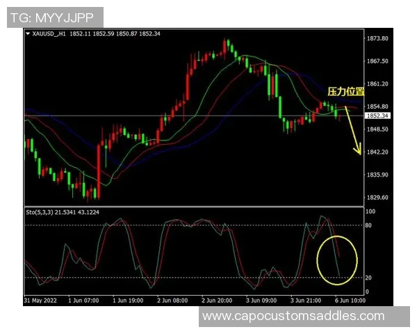 独家分析：成都网球队的耐力对比